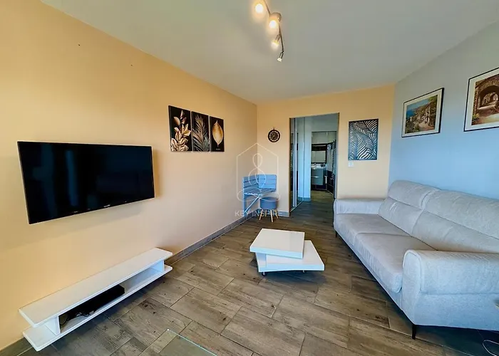 Le Beausejour, With Pool, Parking, Air Conditioning Le Cannet